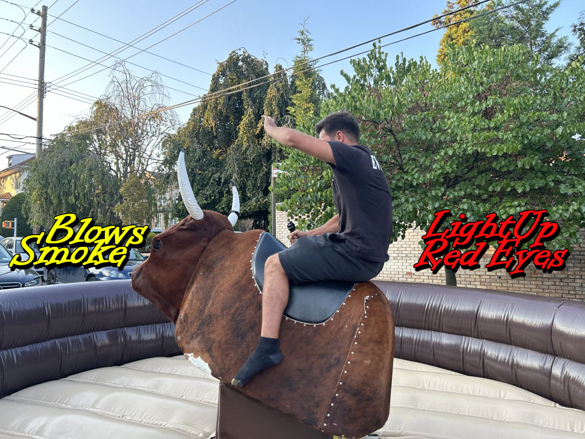 Mechanical Bull 2