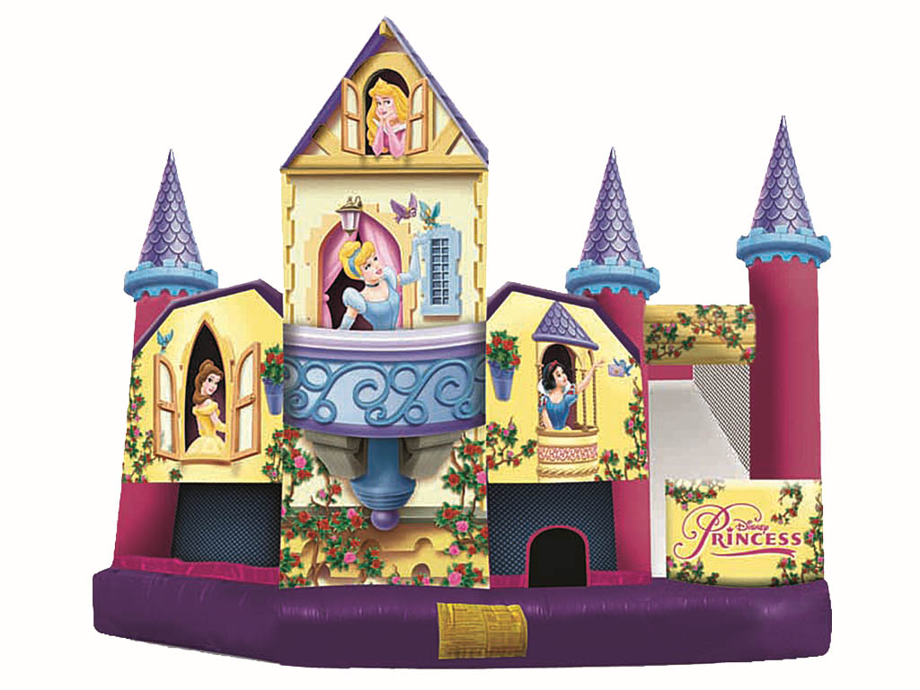 5-in-1 Disney Princess