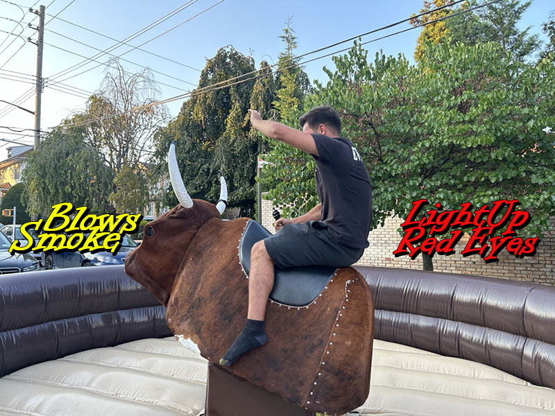 Mechanical Bull 2