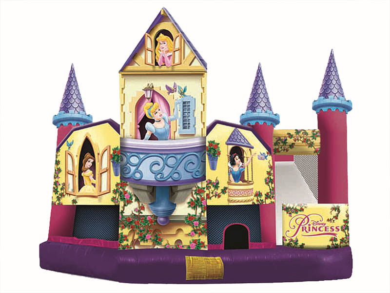 5-in-1 Disney Princess